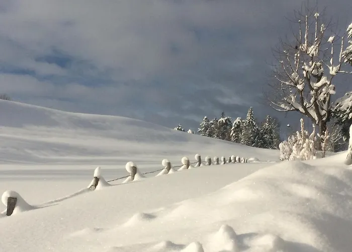 Heimatliebe Waltenhofen